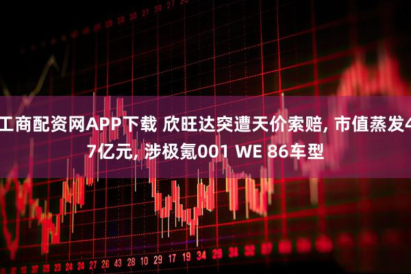 工商配资网APP下载 欣旺达突遭天价索赔, 市值蒸发47亿元, 涉极氪001 WE 86车型