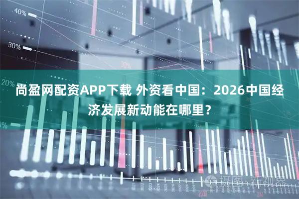 尚盈网配资APP下载 外资看中国：2026中国经济发展新动能在哪里？