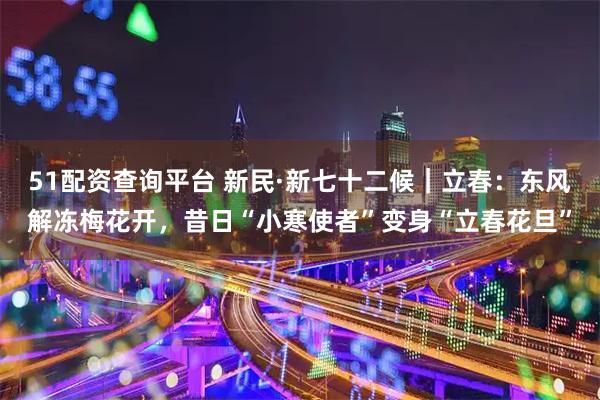 51配资查询平台 新民·新七十二候｜立春：东风解冻梅花开，昔日“小寒使者”变身“立春花旦”